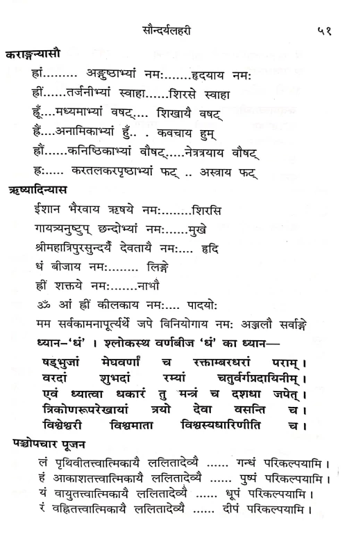 Saundaryalahari (CSBG 218)